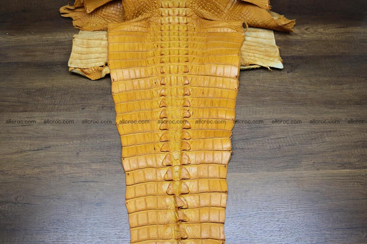 Crocodile skin back part light brown color 1234 Foto 7