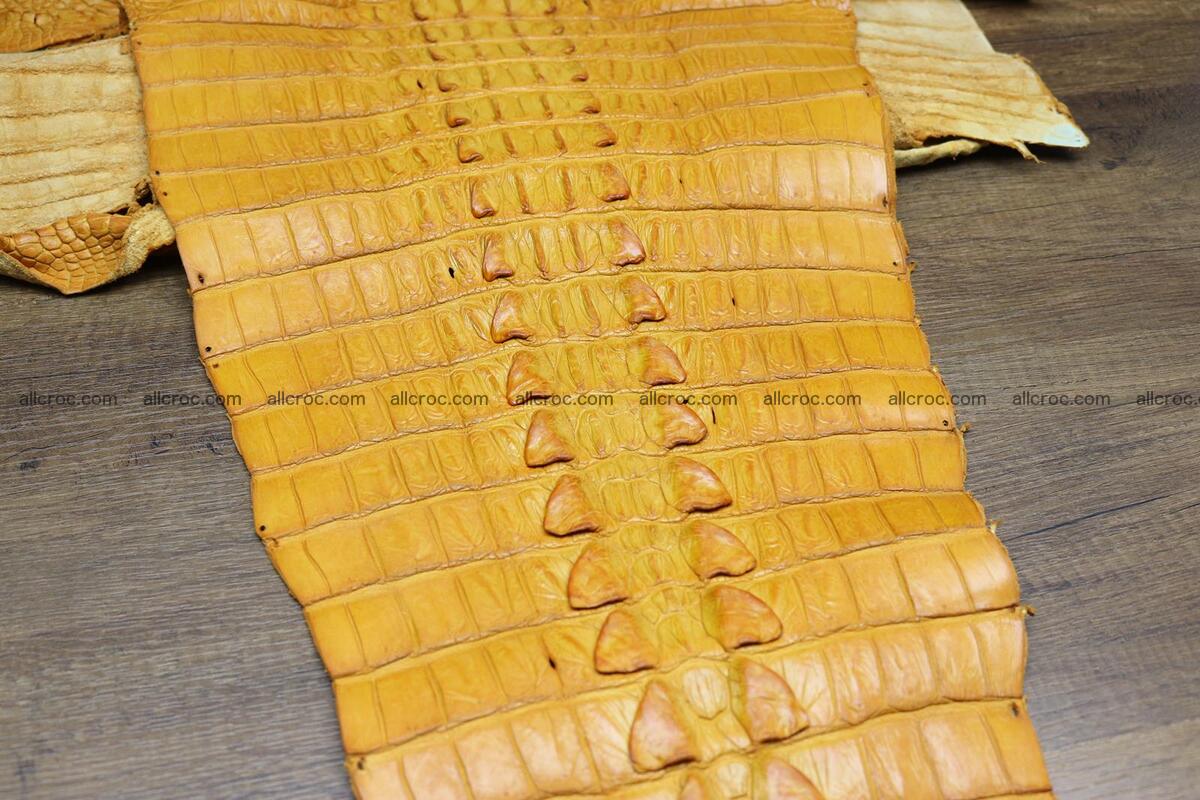 Crocodile skin back part light brown color 1234 Foto 9