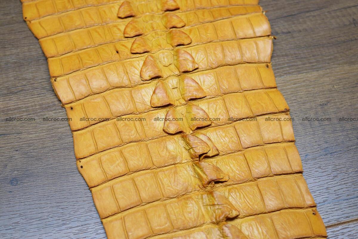 Crocodile skin back part light brown color 1234 Foto 10