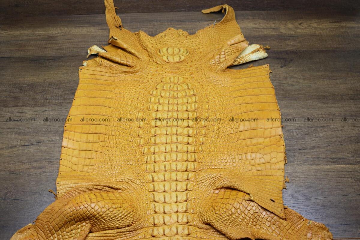 Crocodile skin back part light brown color 1235 Foto 0