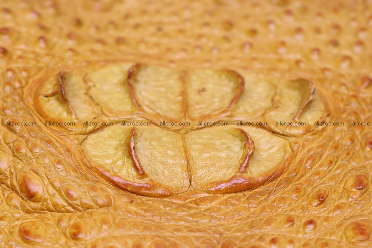Crocodile skin back part light brown color 1235 Foto 6