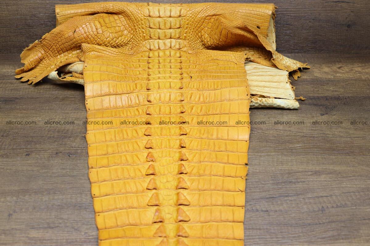 Crocodile skin back part light brown color 1235 Foto 7