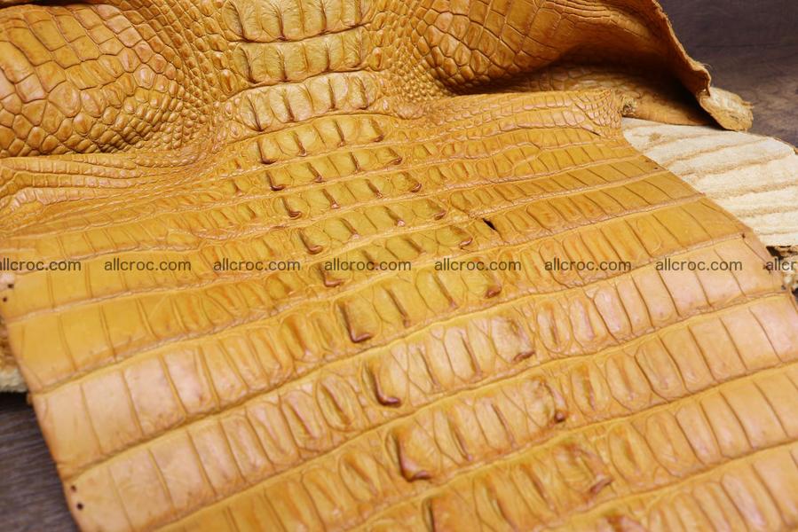 Crocodile skin back part light brown color 1235