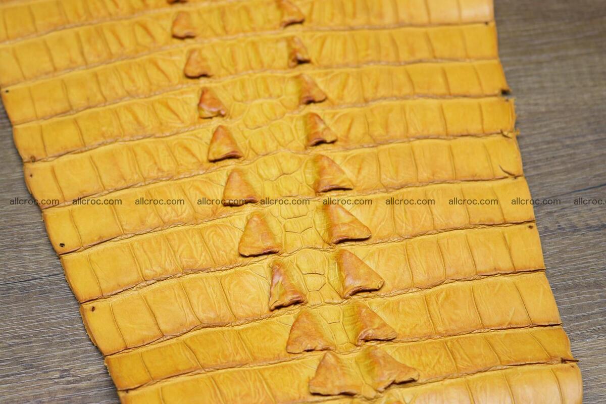 Crocodile skin back part light brown color 1235 Foto 11