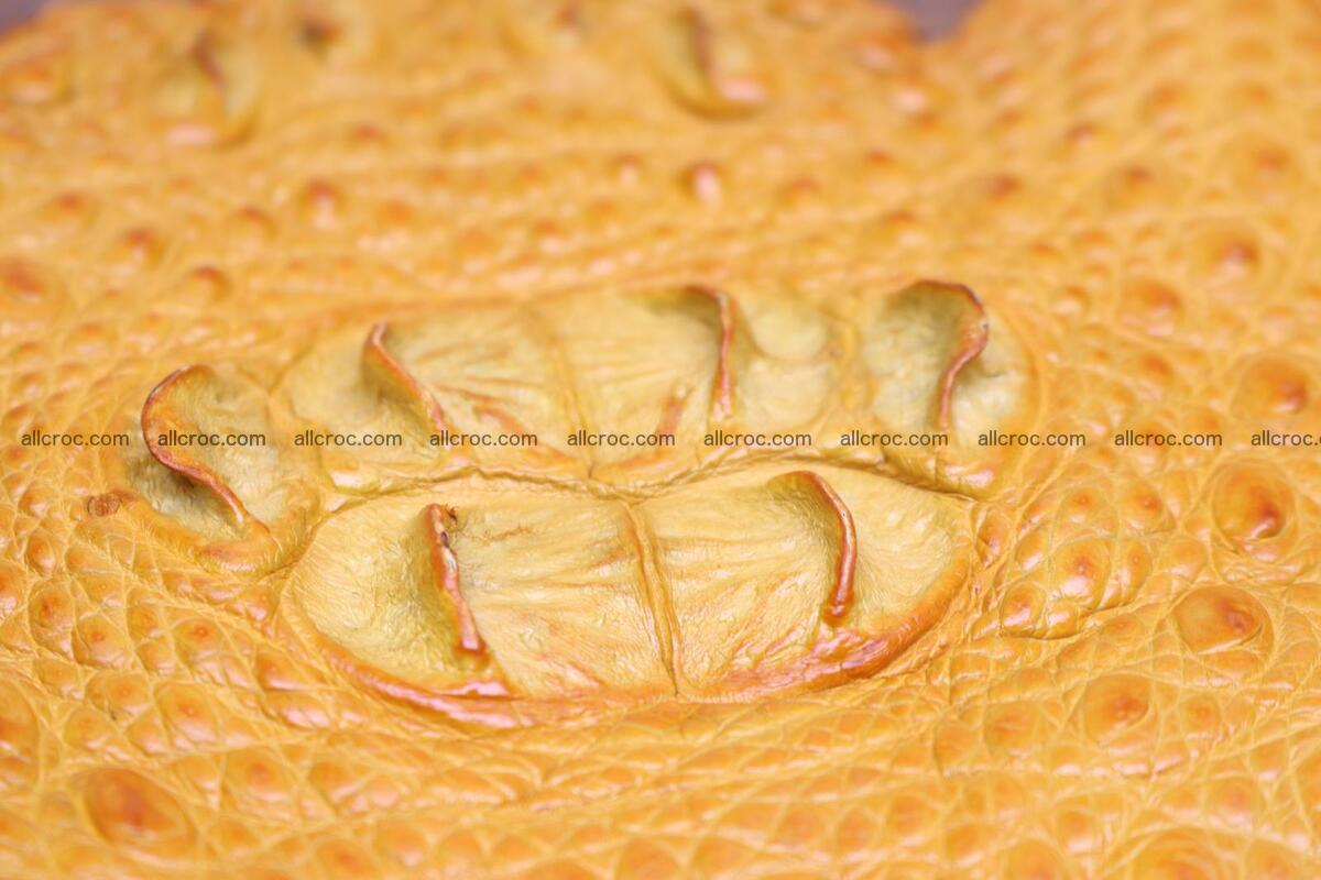Crocodile skin back part light brown color 1236 Foto 6