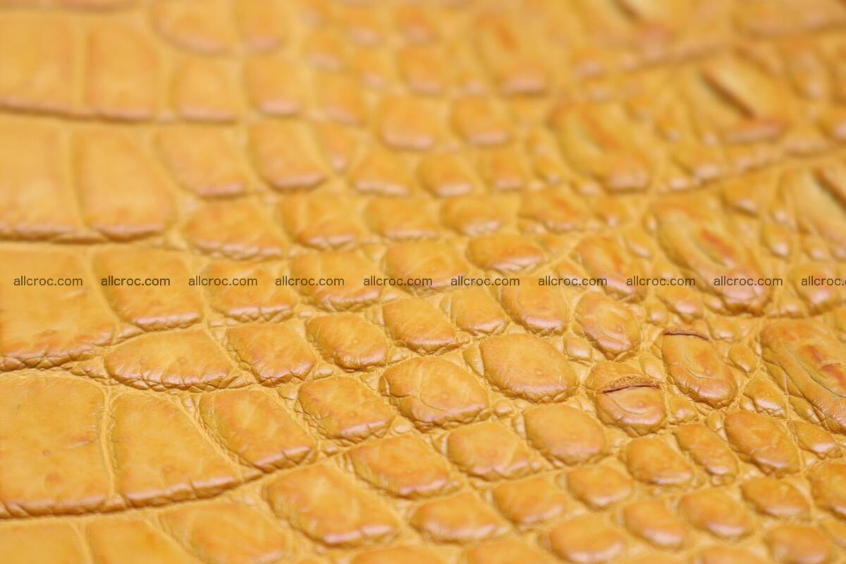 Crocodile skin back part light brown color 1236 Foto 7