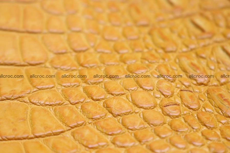 Crocodile skin back part light brown color 1236