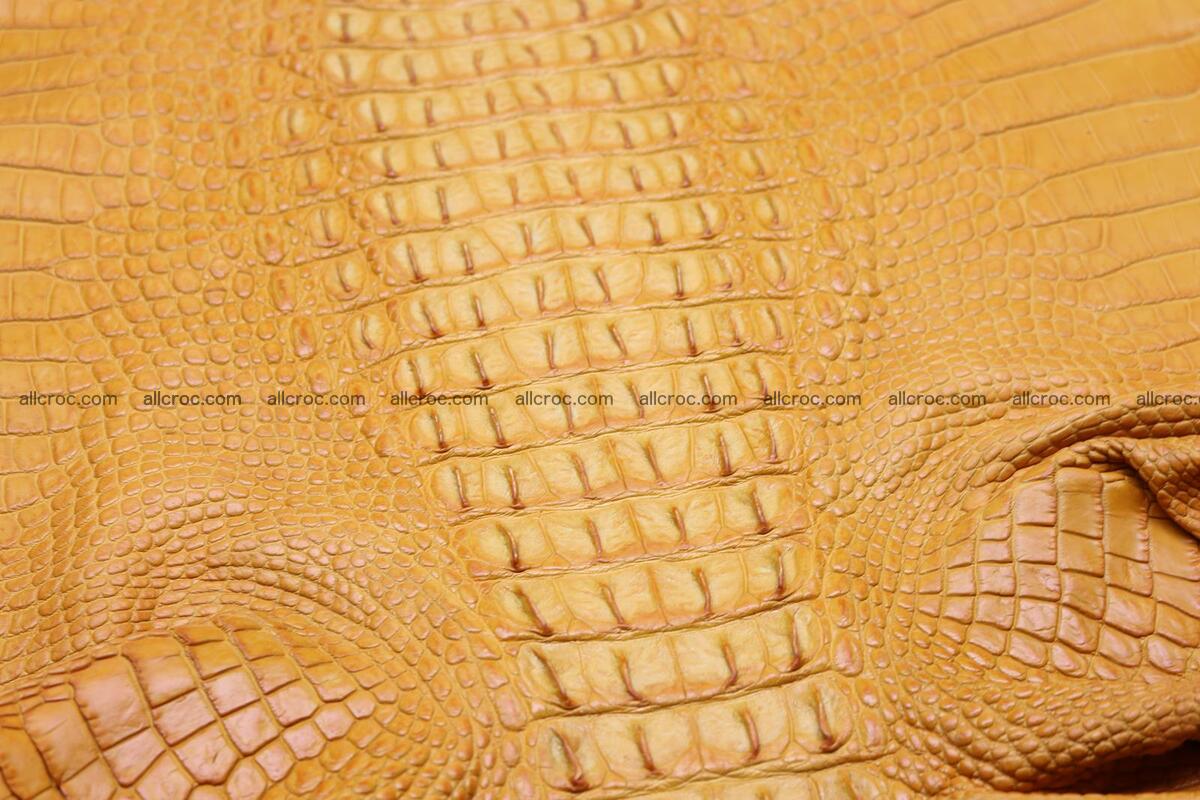 Crocodile skin back part light brown color 1236 Foto 8