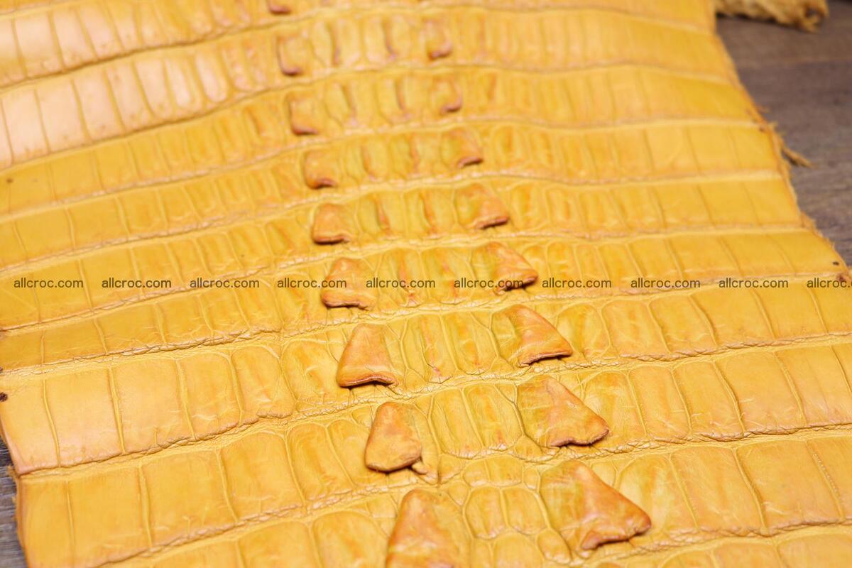 Crocodile skin back part light brown color 1236 Foto 12
