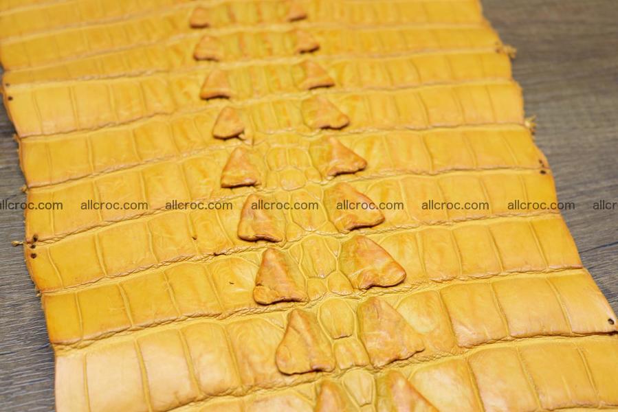 Crocodile skin back part light brown color 1236