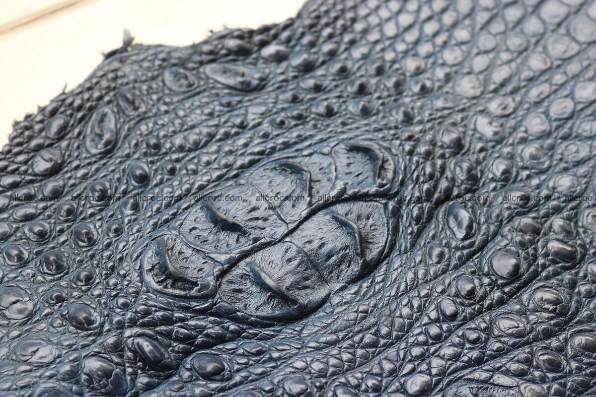 Crocodile skin back part navy blue color 1242 Foto 11