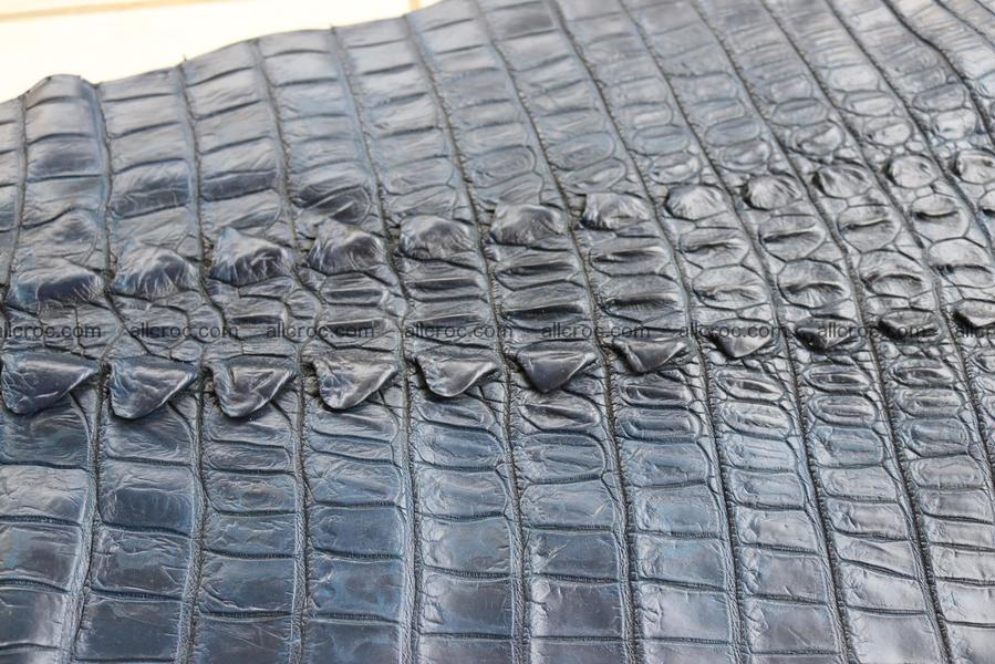 Crocodile skin back part navy blue color 1242