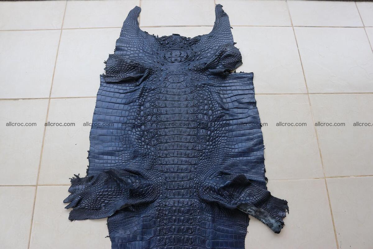 Crocodile skin back part navy blue color 1243 Foto 0