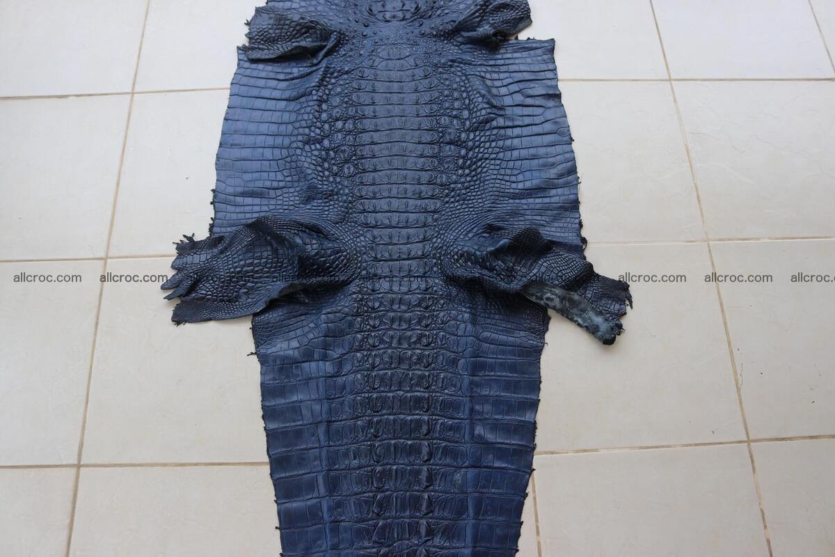 Crocodile skin back part navy blue color 1243 Foto 1