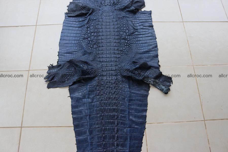 Crocodile skin back part navy blue color 1243