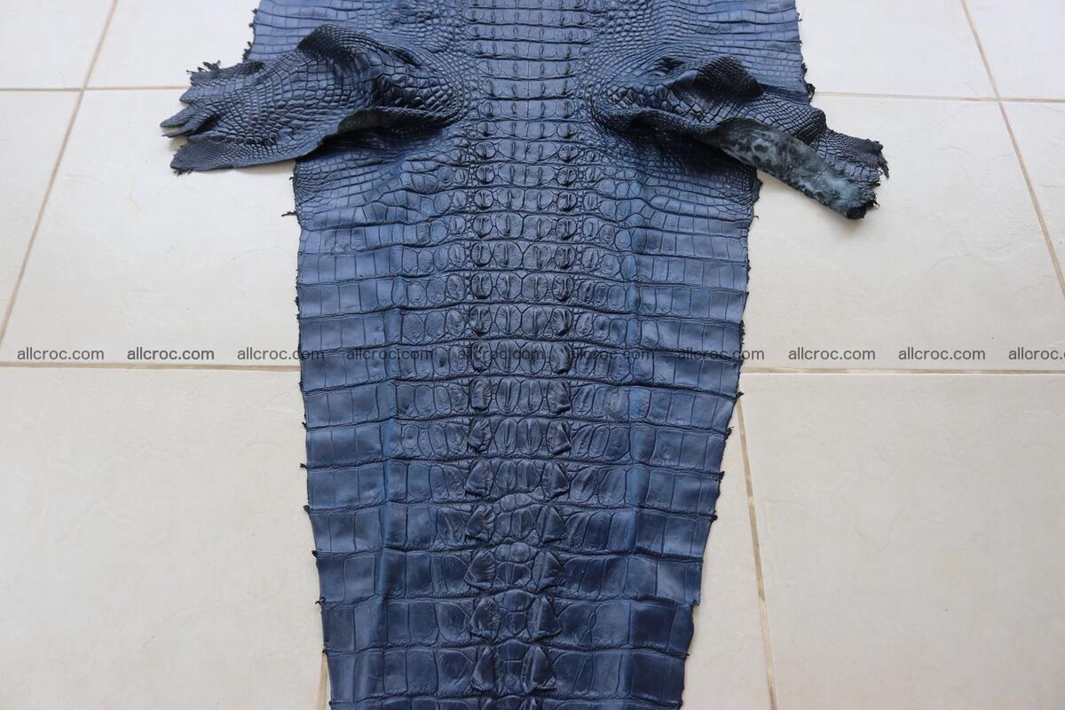 Crocodile skin back part navy blue color 1243 Foto 2