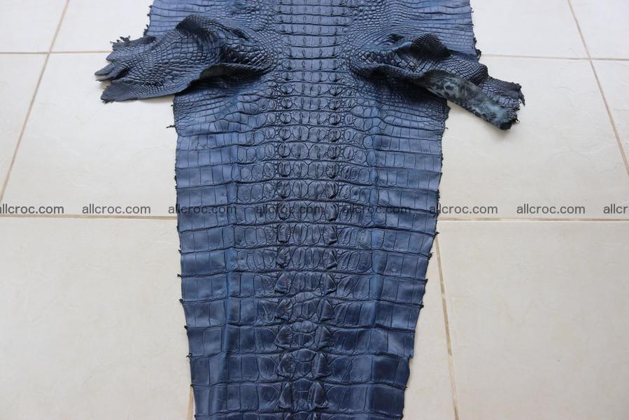 Crocodile skin back part navy blue color 1243