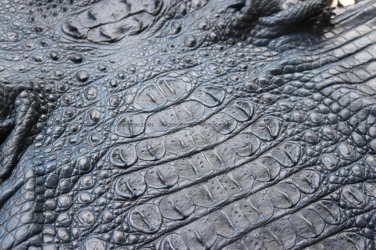 Crocodile skin back part navy blue color 1243 Foto 5