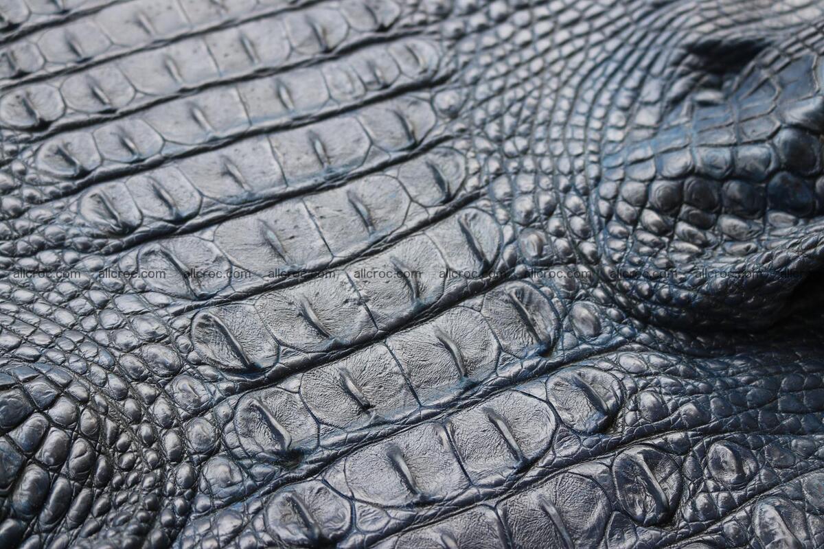 Crocodile skin back part navy blue color 1243 Foto 9