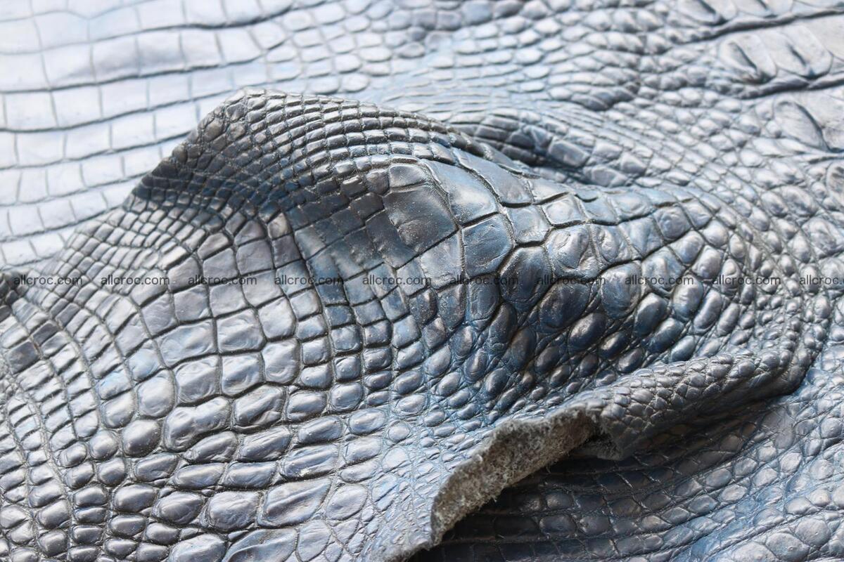 Crocodile skin back part navy blue color 1243 Foto 15