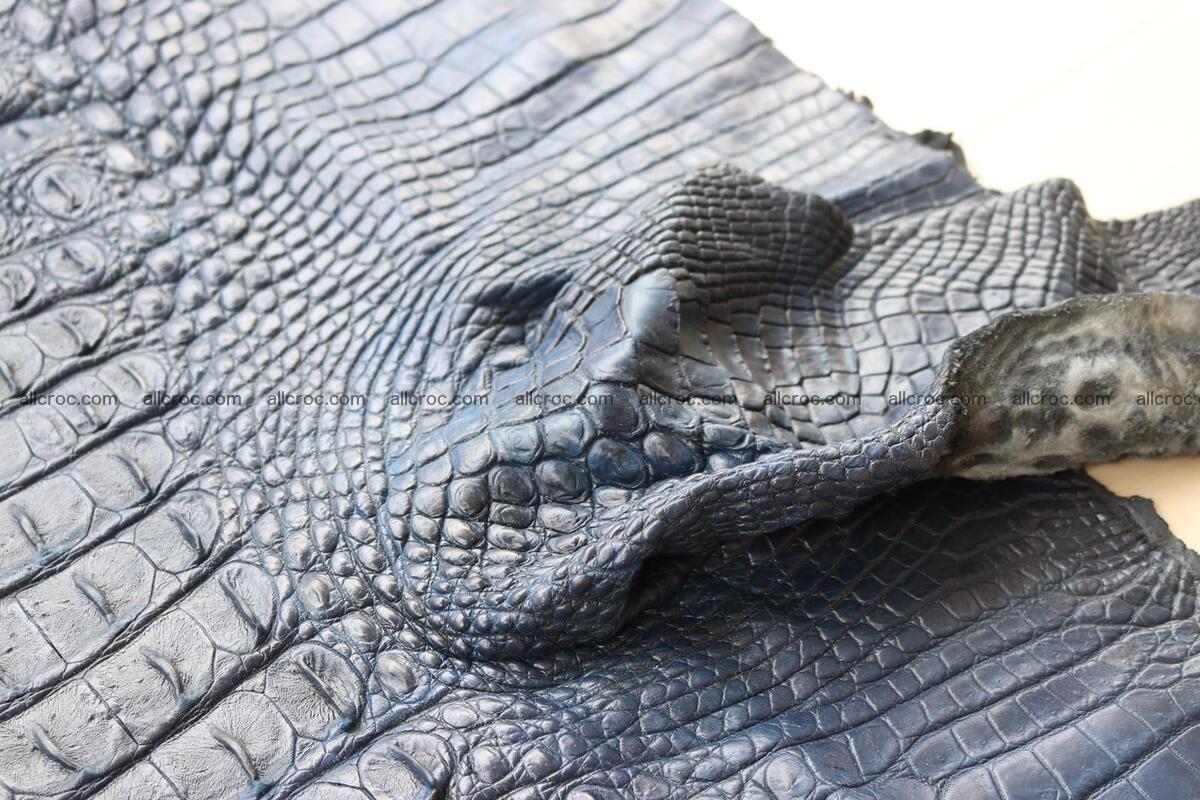 Crocodile skin back part navy blue color 1243 Foto 16