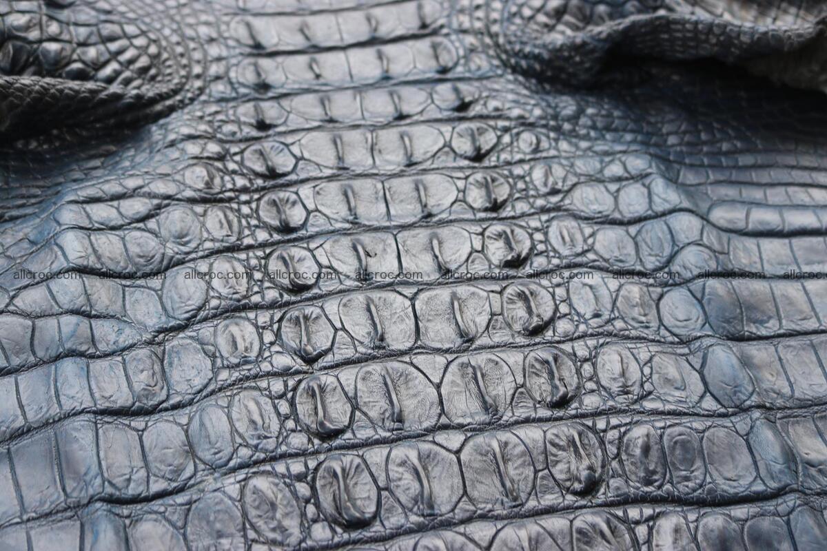 Crocodile skin back part navy blue color 1243 Foto 10
