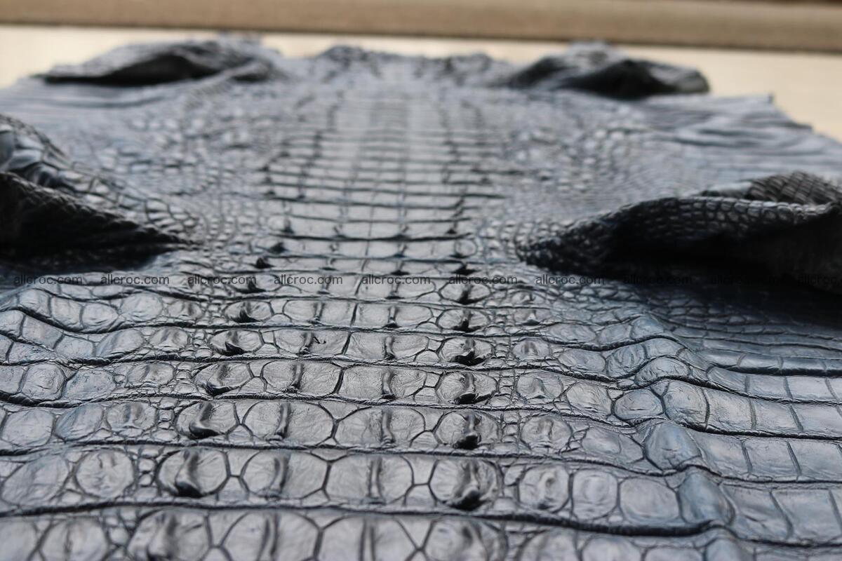 Crocodile skin back part navy blue color 1243 Foto 12