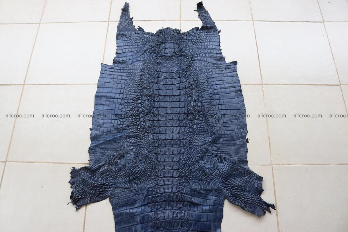 Crocodile skin back part navy blue color 1239 Foto 1