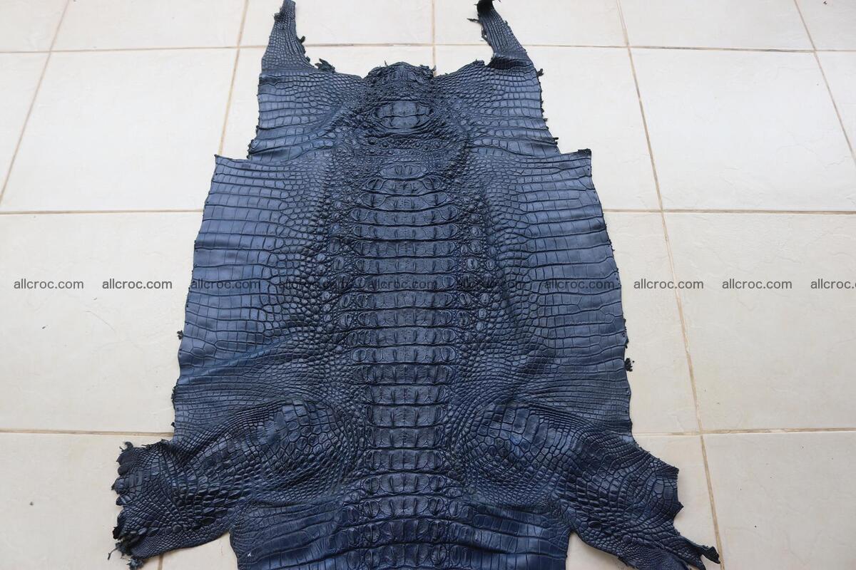 Crocodile skin back part navy blue color 1239 Foto 0