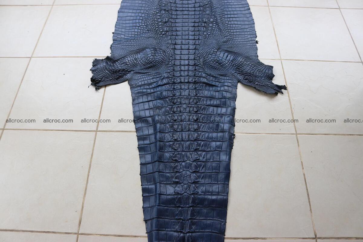 Crocodile skin back part navy blue color 1239 Foto 2