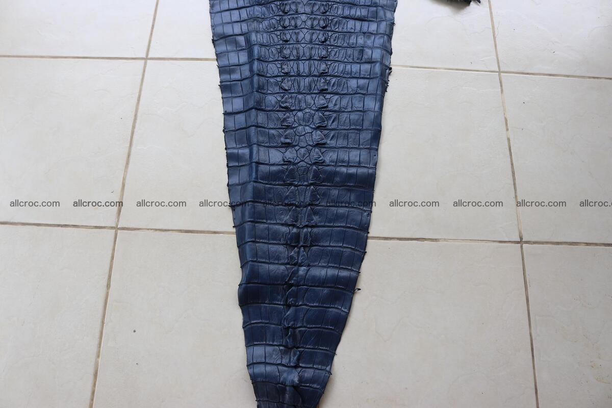 Crocodile skin back part navy blue color 1239 Foto 4