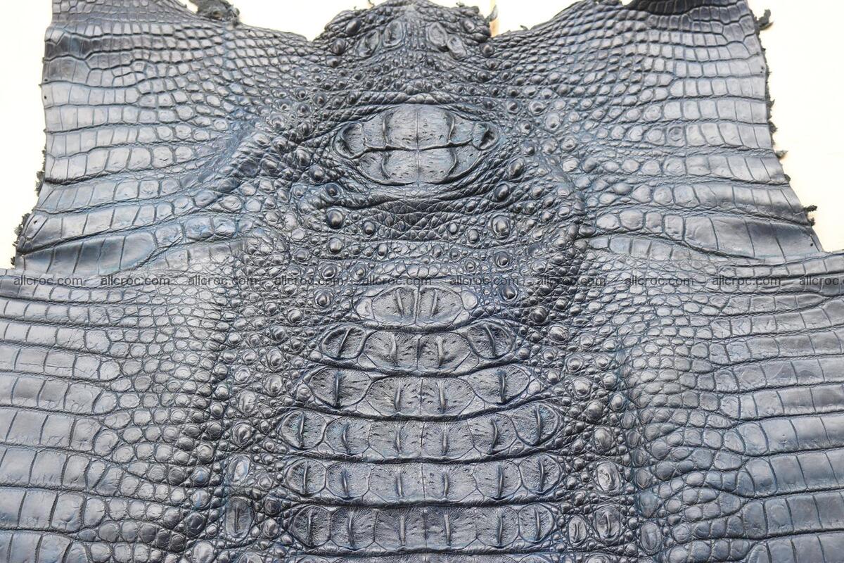 Crocodile skin back part navy blue color 1239 Foto 10