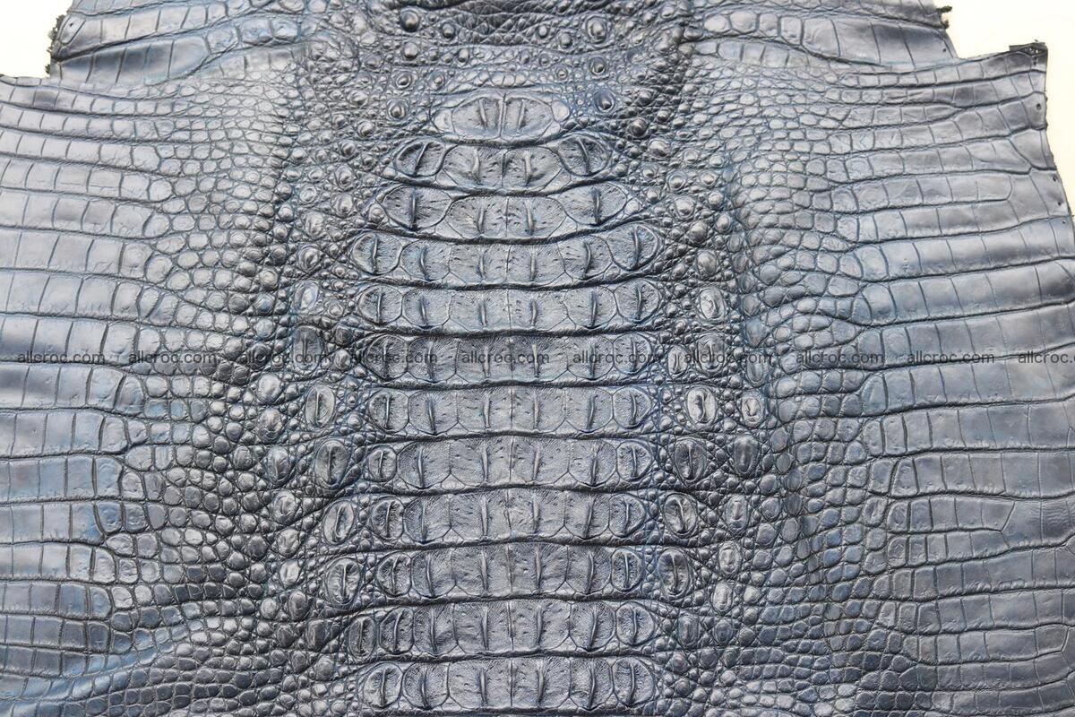 Crocodile skin back part navy blue color 1239 Foto 11