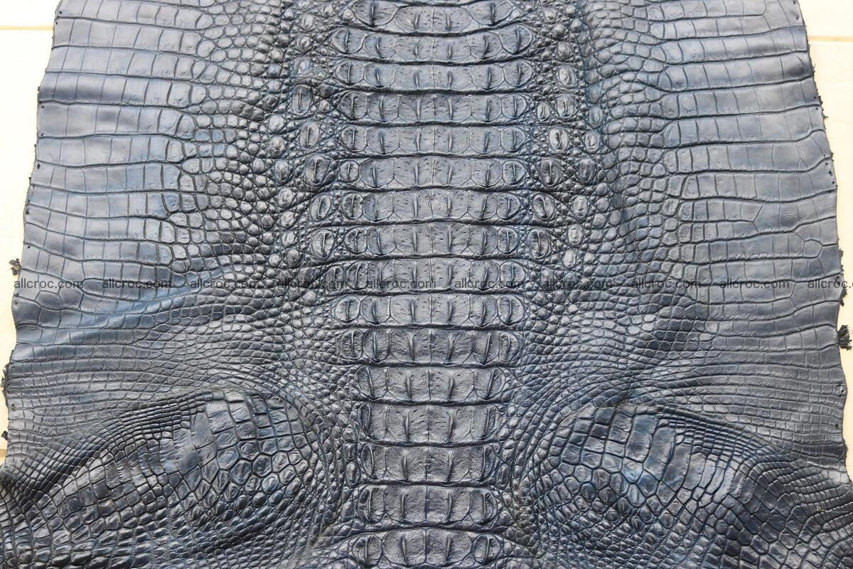 Crocodile skin back part navy blue color 1239 Foto 12