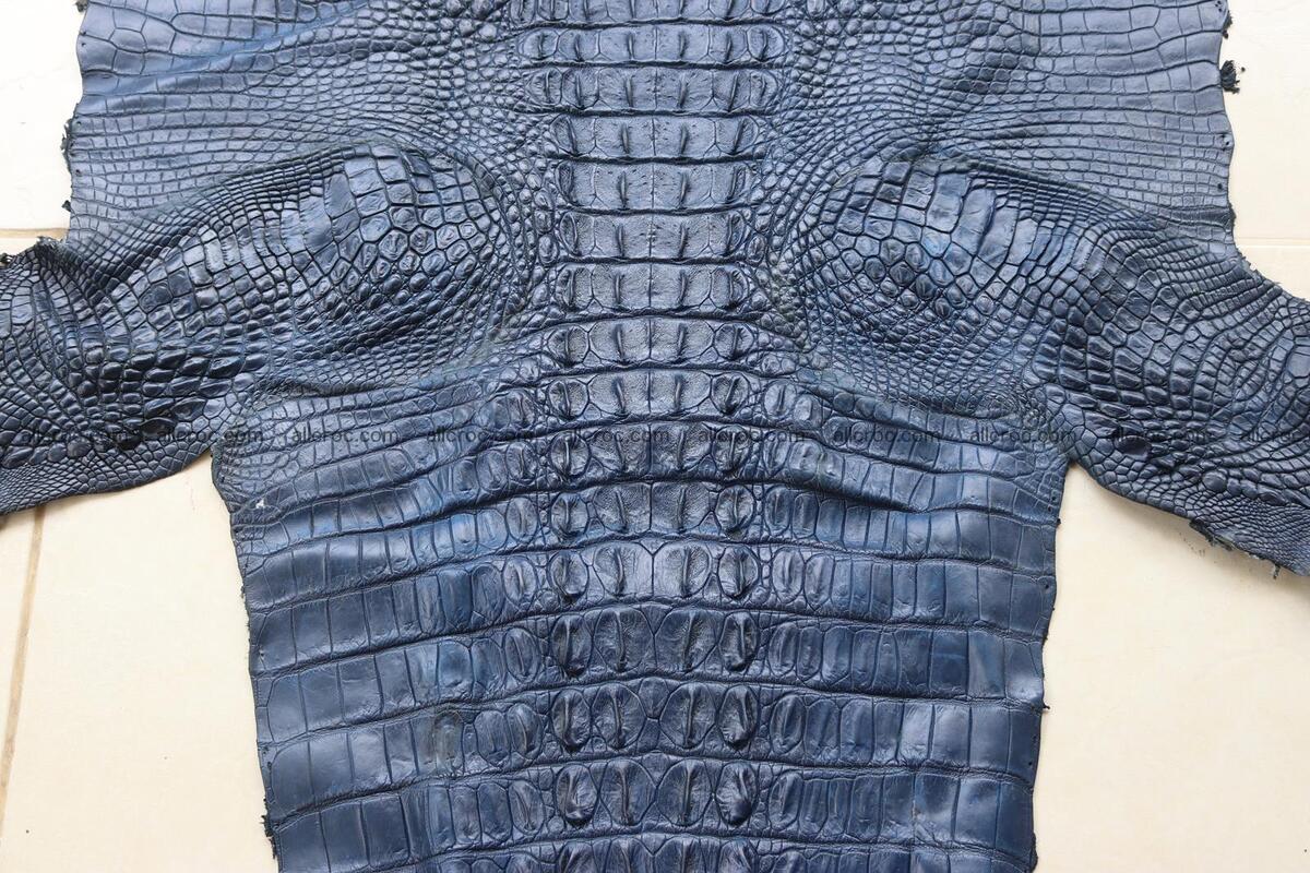 Crocodile skin back part navy blue color 1239 Foto 3