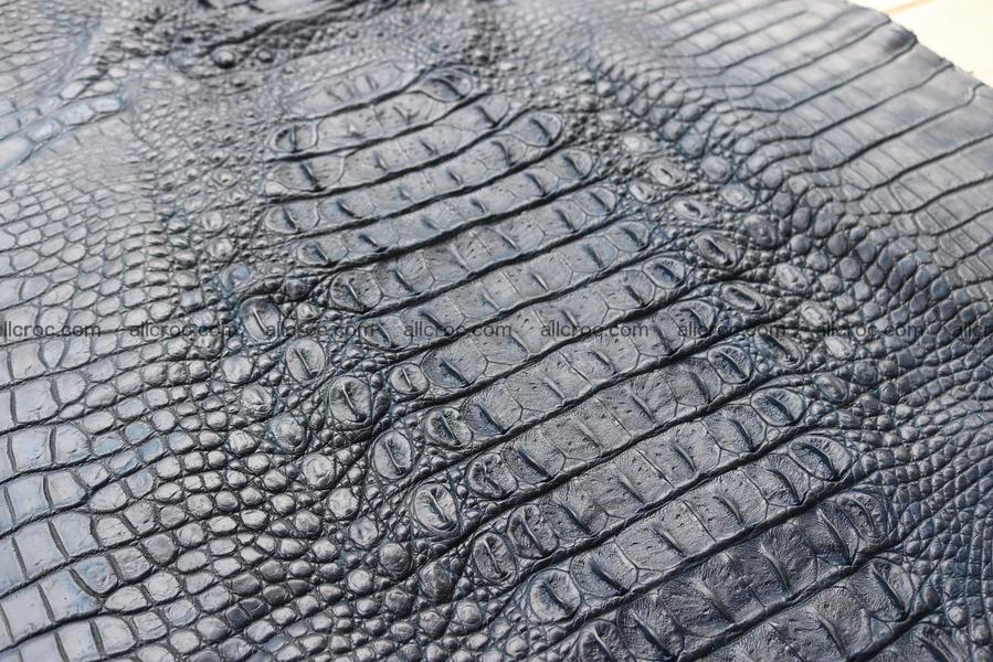 Crocodile skin back part navy blue color 1239