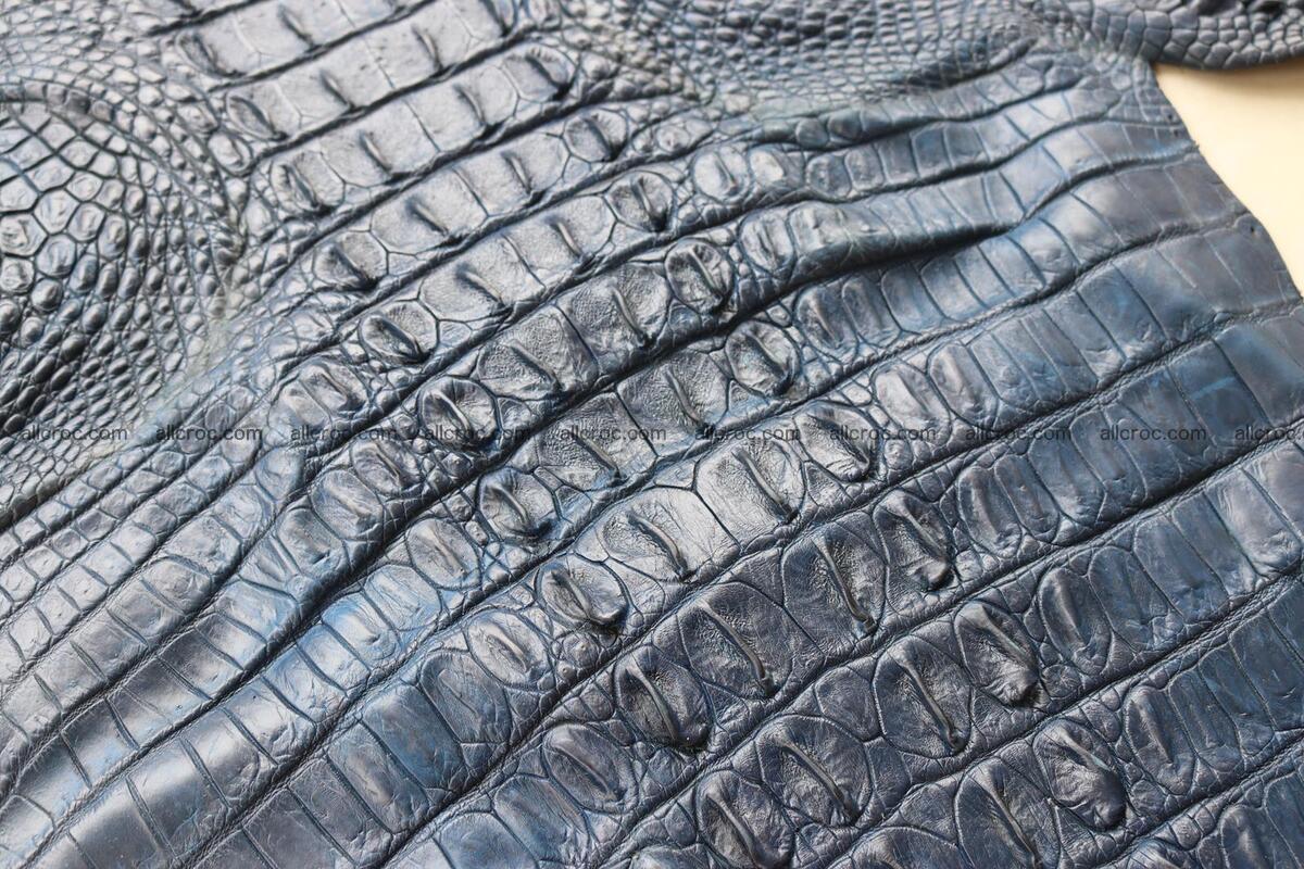 Crocodile skin back part navy blue color 1239 Foto 15