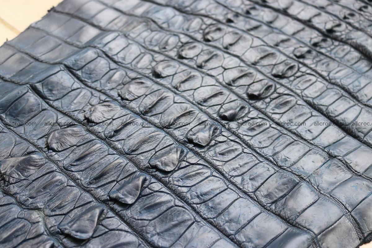 Crocodile skin back part navy blue color 1239 Foto 8