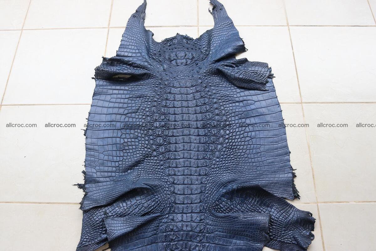 Crocodile skin back part navy blue color 1240 Foto 0