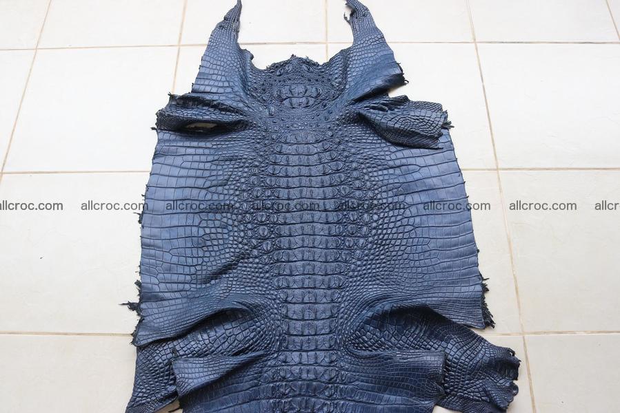Crocodile skin back part navy blue color 1240
