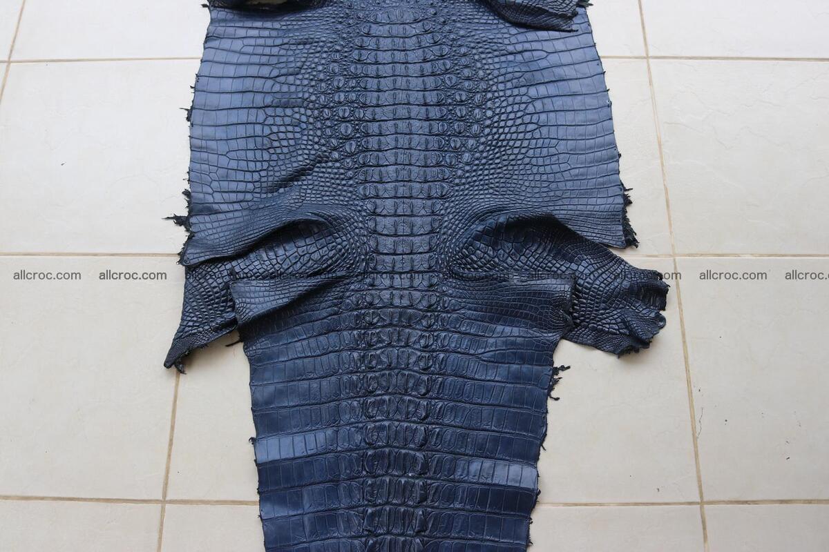 Crocodile skin back part navy blue color 1240 Foto 1