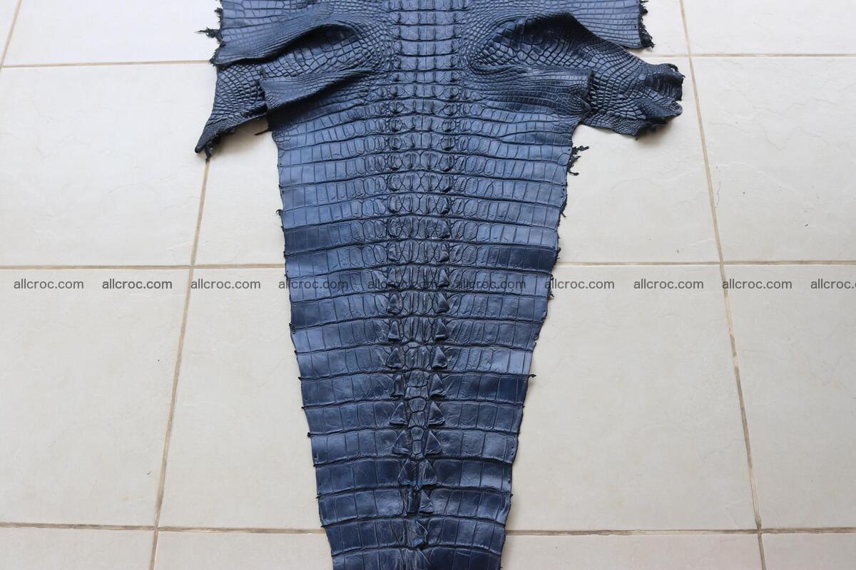 Crocodile skin back part navy blue color 1240 Foto 2