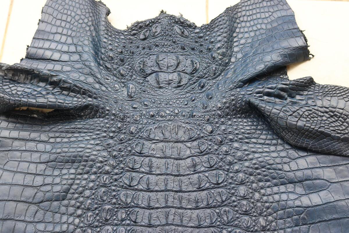 Crocodile skin back part navy blue color 1240 Foto 4