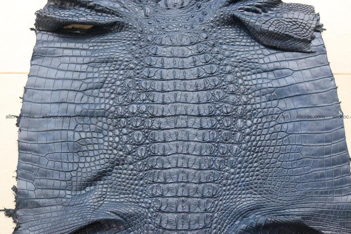 Crocodile skin back part navy blue color 1240 Foto 5