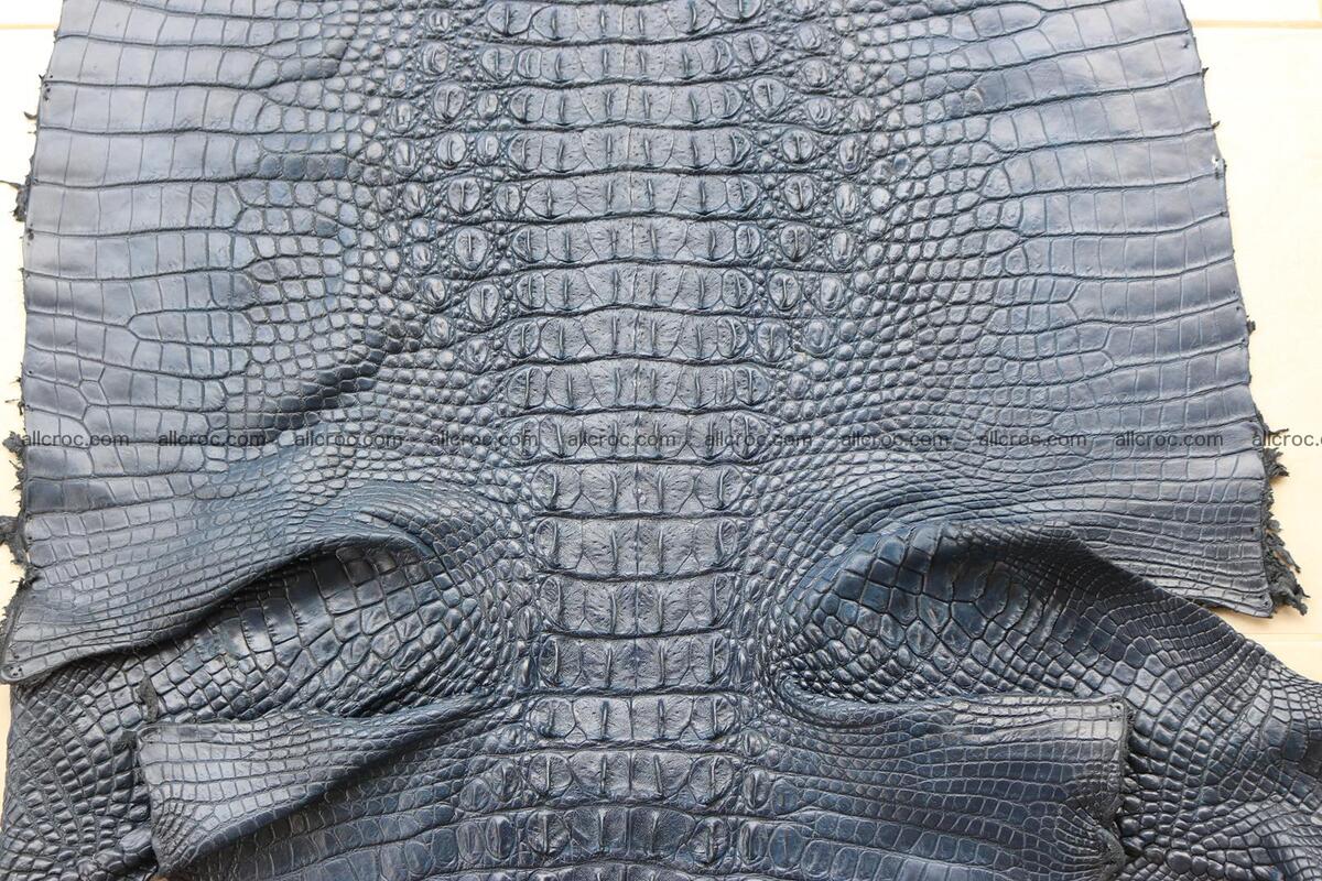 Crocodile skin back part navy blue color 1240 Foto 6