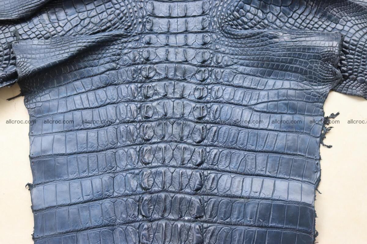 Crocodile skin back part navy blue color 1240 Foto 7