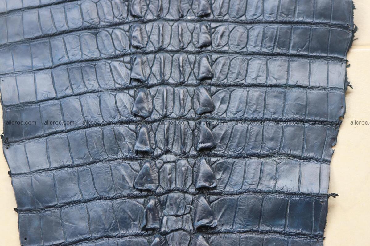 Crocodile skin back part navy blue color 1240 Foto 8