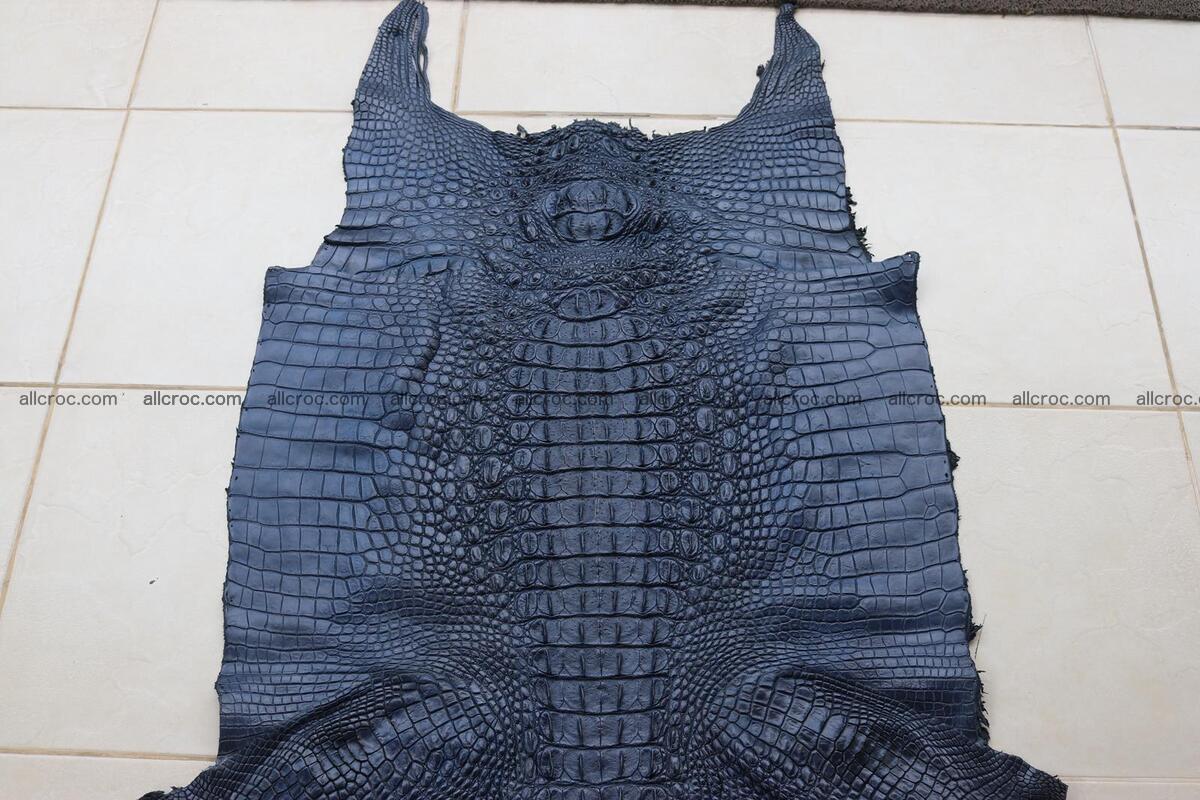 Crocodile skin back part navy blue color 1241 Foto 0