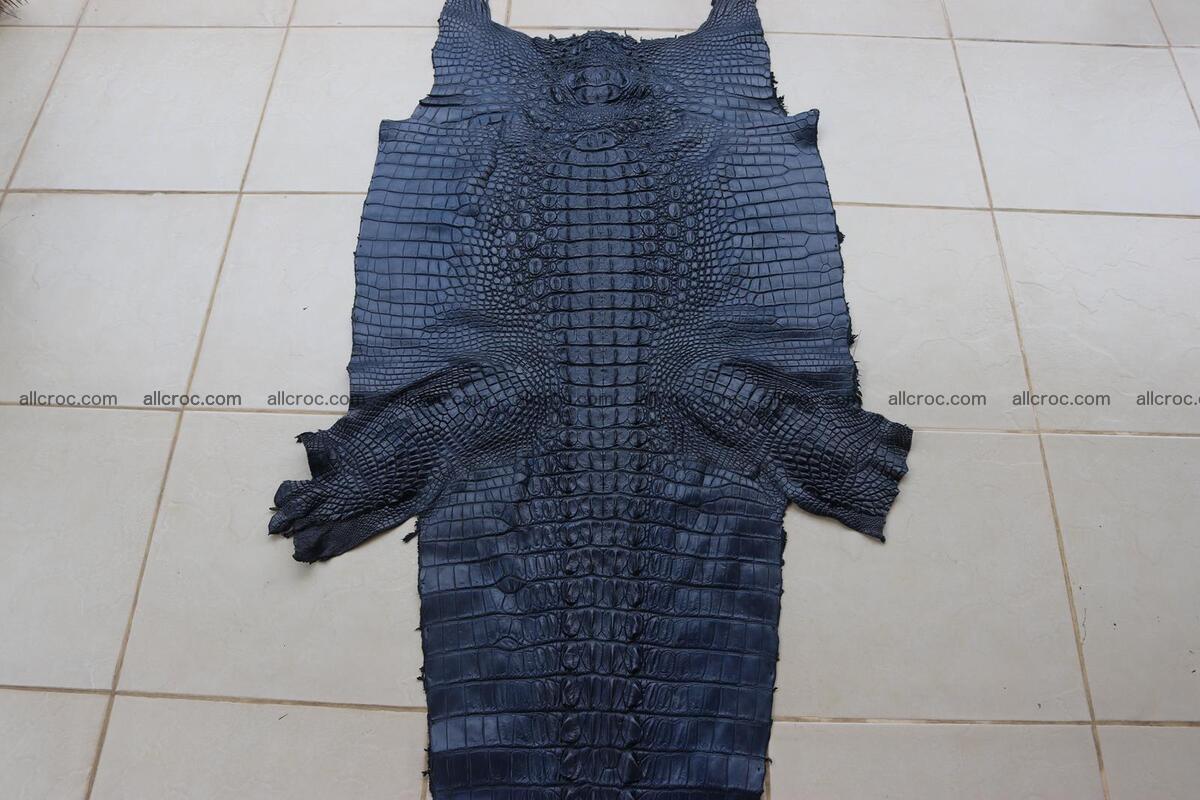 Crocodile skin back part navy blue color 1241 Foto 1