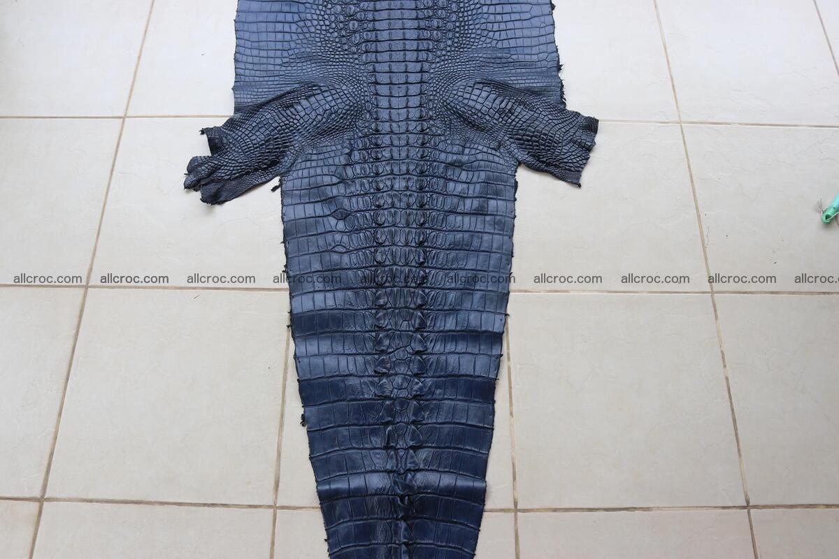 Crocodile skin back part navy blue color 1241 Foto 3